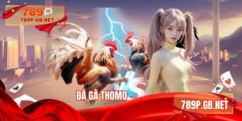 Đá gà Thomo